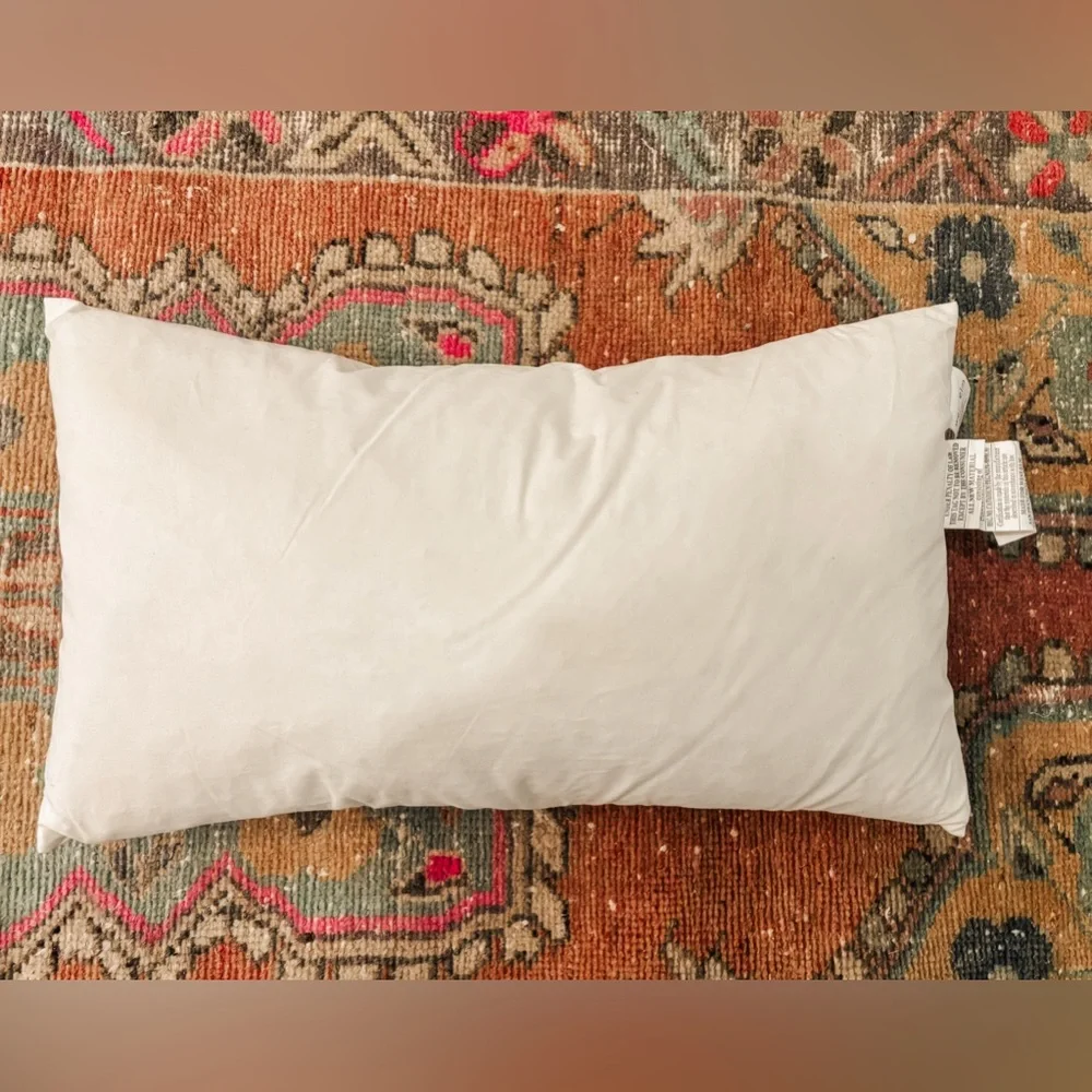 West Elm Cotton FEATHER pillow insert 12